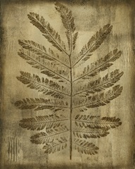 Sepia Drenched Fern I