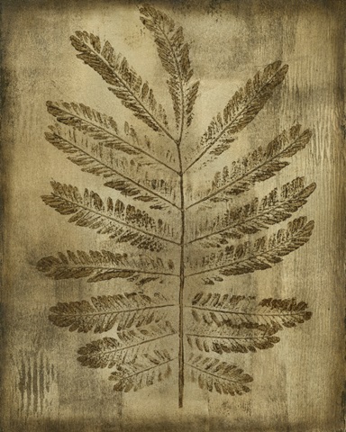 Sepia Drenched Fern I