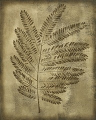 Sepia Drenched Fern II