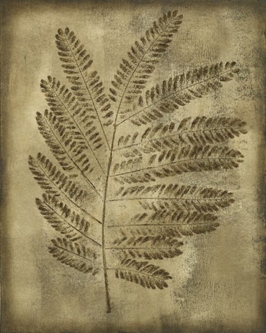 Sepia Drenched Fern II