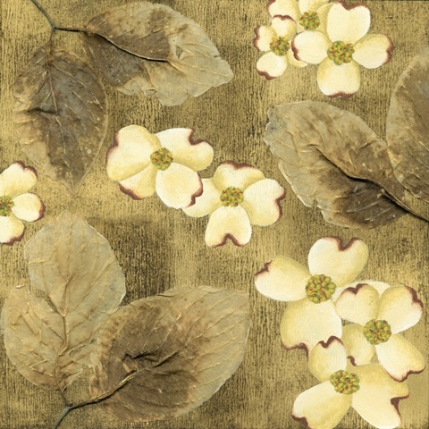 Sun-kissed Dogwoods I