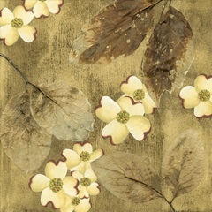 Sun-kissed Dogwoods II