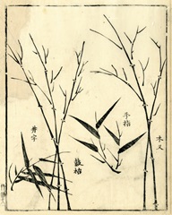 Bamboo Woodblock II