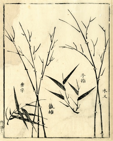 Bamboo Woodblock II