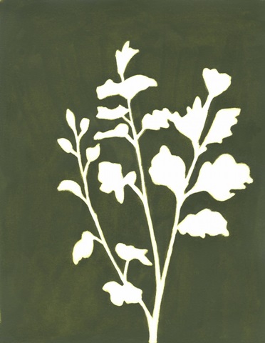 Four Seasons Foliage II