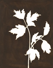 Four Seasons Foliage IV