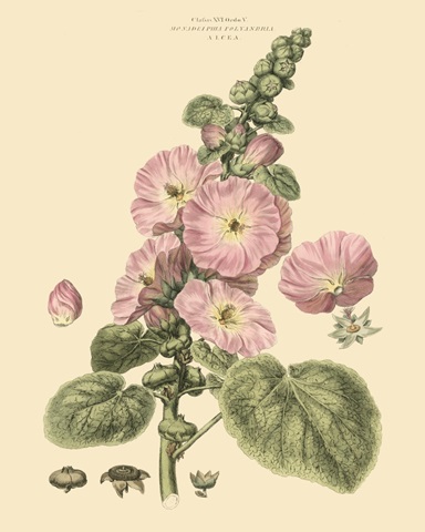 Blushing Pink Florals V