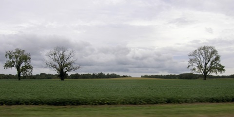 Calm Before The Storm I