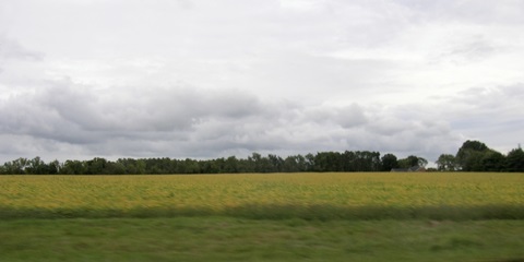 Calm Before The Storm II