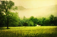 Farmhouse on Foggy Morn'