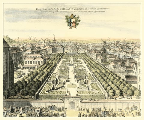 Formal Garden View I