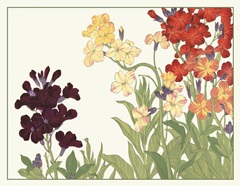 Japanese Flower Garden I