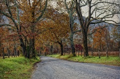 Morning on Sparks Lane I
