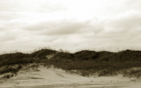 Ocracoke Dune Study I