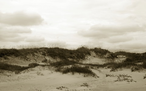 Ocracoke Dune Study III