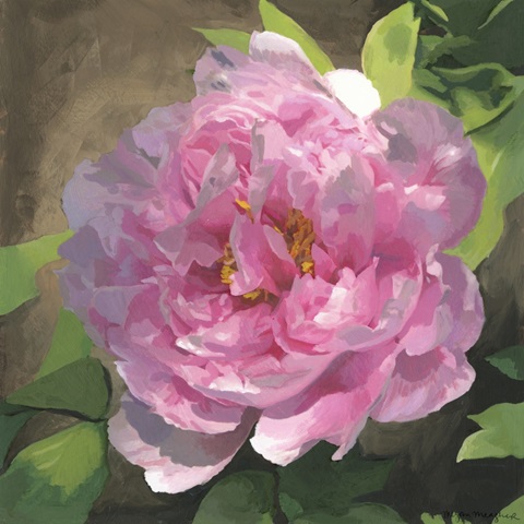 Peony in Pink I