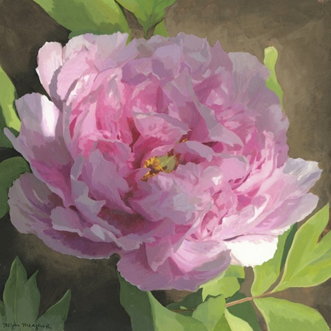Peony in Pink II