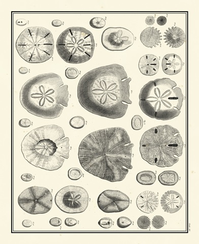 Aegean Collection II