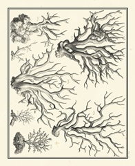 Aegean Collection III