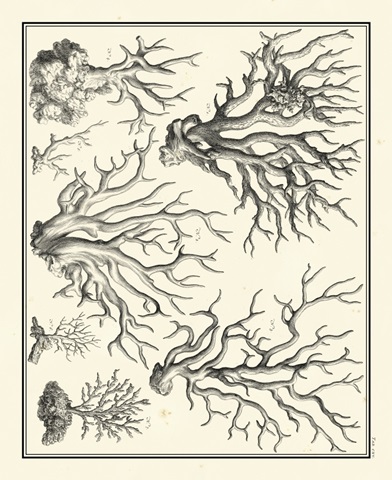 Aegean Collection III