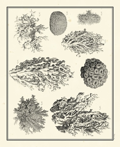 Aegean Collection IV