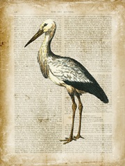 Antiquarian Birds II