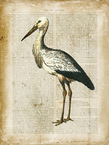 Antiquarian Birds II