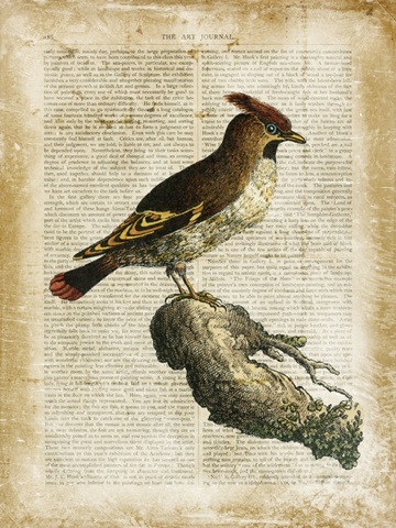 Antiquarian Birds III