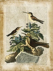 Antiquarian Birds IV