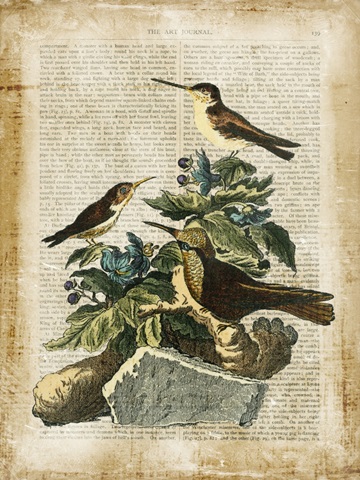 Antiquarian Birds IV