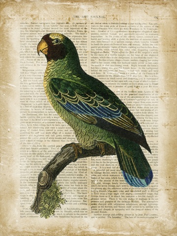 Antiquarian Birds VI