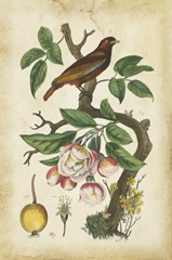 Antique Bird in Nature I