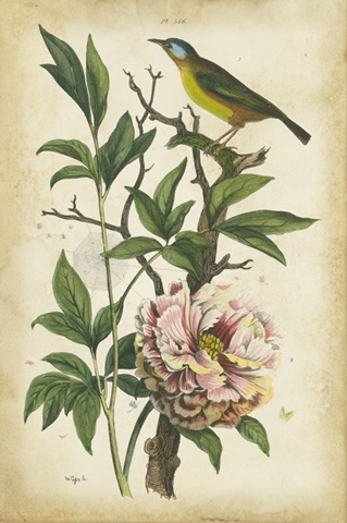 Antique Bird in Nature II