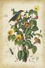 Antique Bird in Nature III