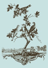 Avian Toile I
