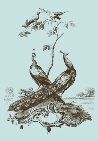 Avian Toile II