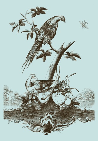Avian Toile III
