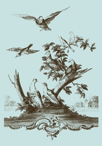 Avian Toile IV