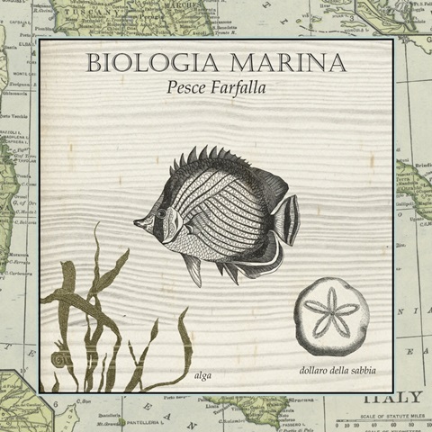 Biologia Marina I
