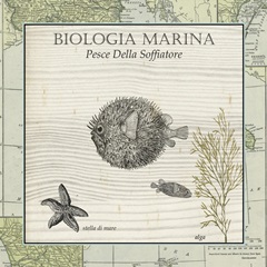 Biologia Marina II