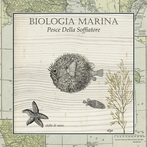 Biologia Marina II