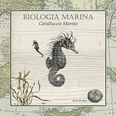 Biologia Marina III