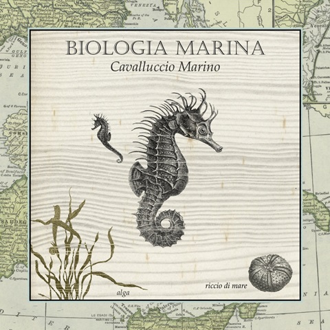 Biologia Marina III