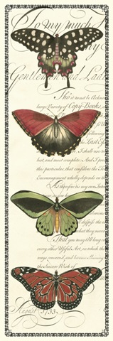 Butterfly Prose Panel I