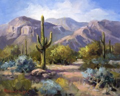 Catalina Mountain Foothills