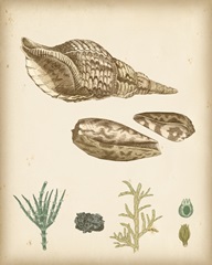 Coastal Memories III