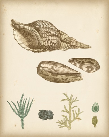 Coastal Memories III