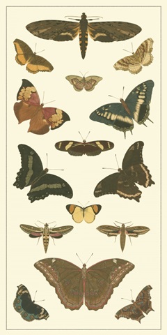 Cramer Butterfly Panel II