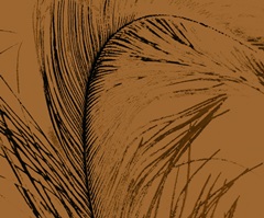 Feathered Impression I