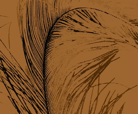 Feathered Impression I